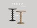 TABLE 2 mwtable2 фото 1